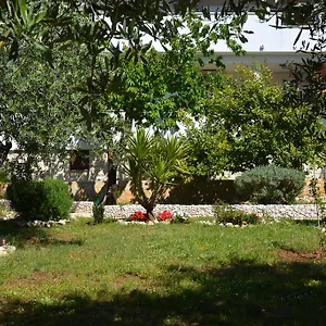 apartments-maslina-trogir.hotels-in-trogir.com/